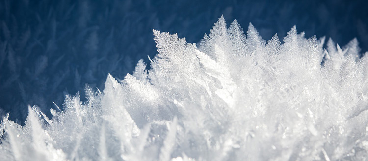 5 Zitate zum Winter